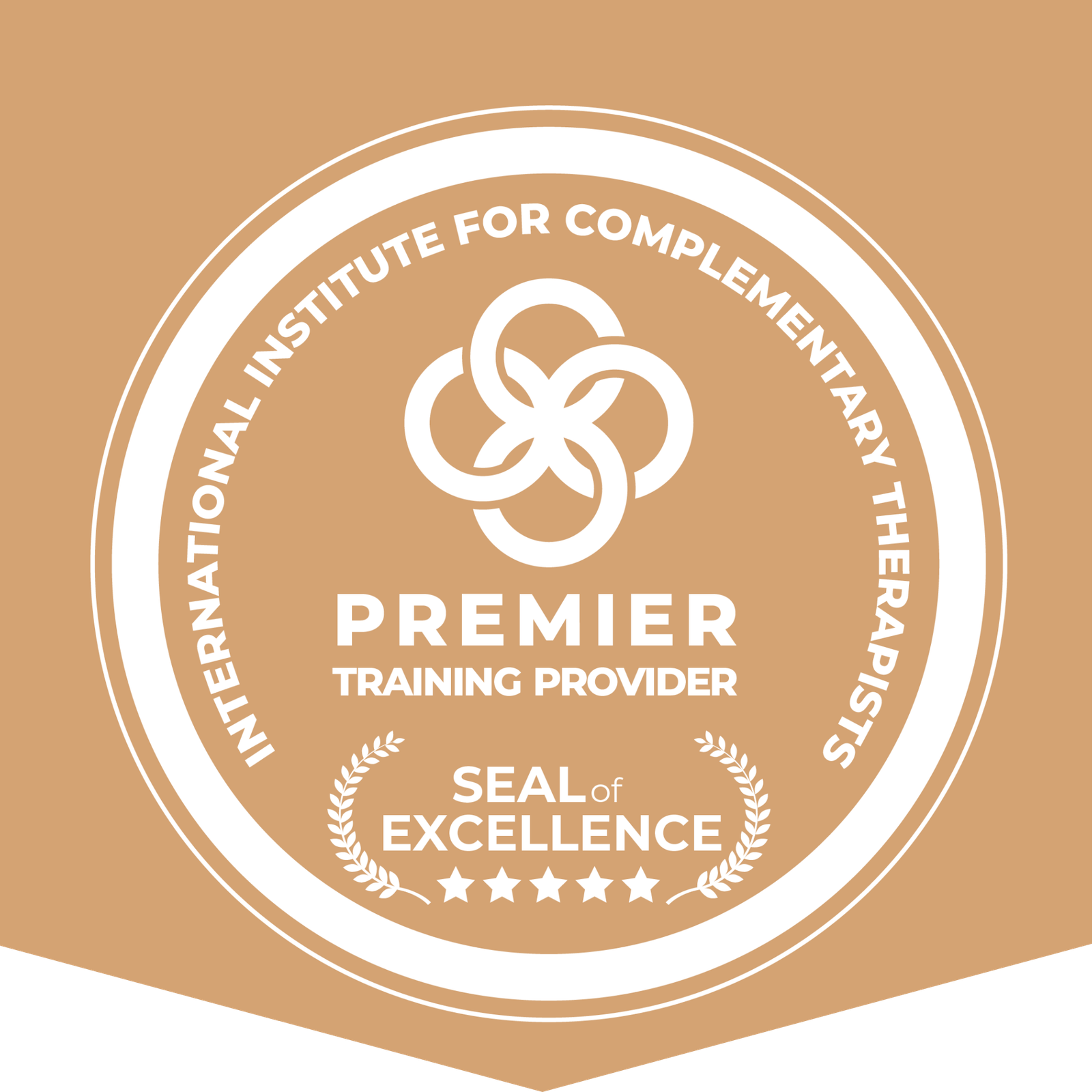 IICT Accredited Course — Seal of Excellence